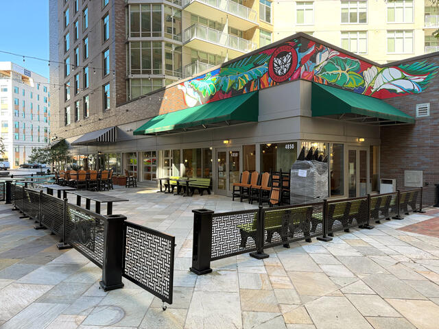BabyCat's new location in Bethesda, MD