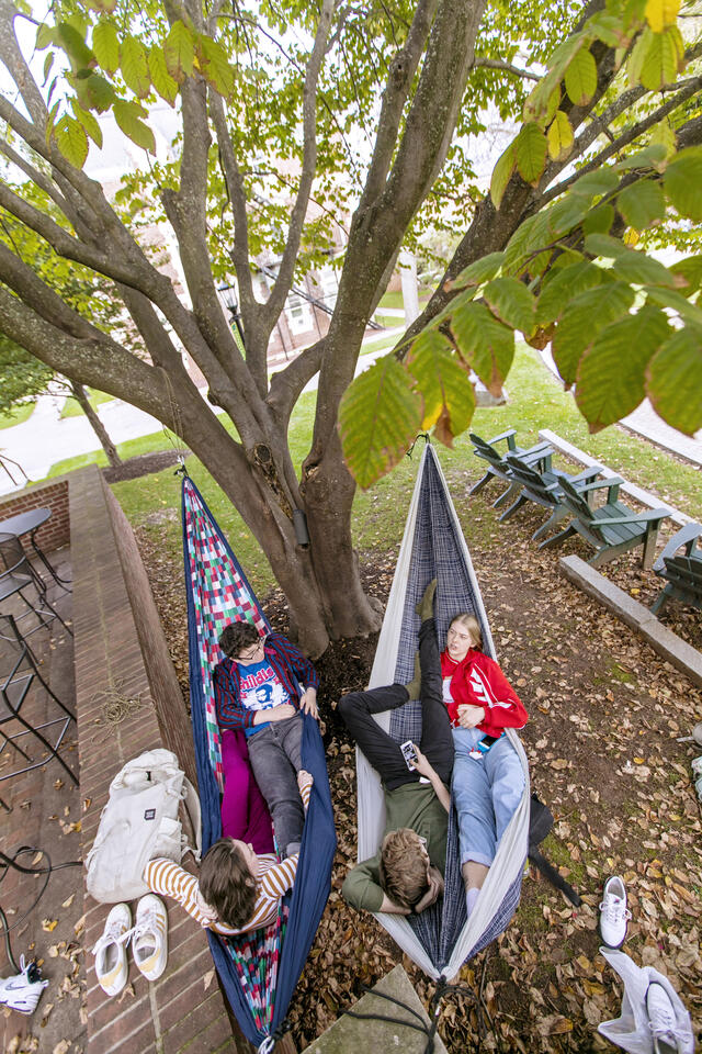 Students in hammocks on campus.