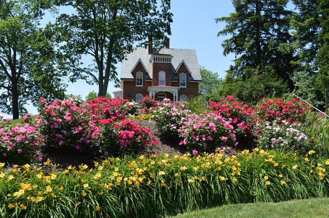 Carroll Hall in the summer.