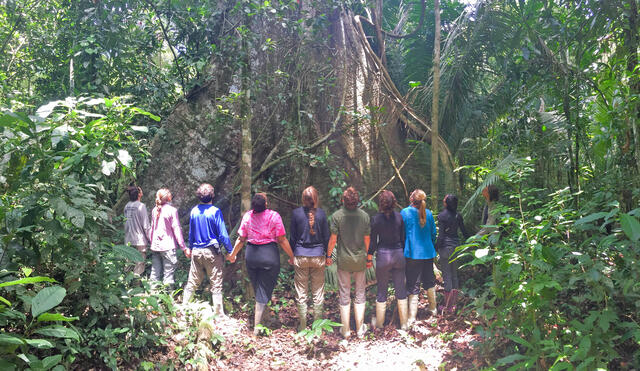 Forest Online students enjoy a giant kapok tree at Lake Soledad on the Las Piedras River, Peru.