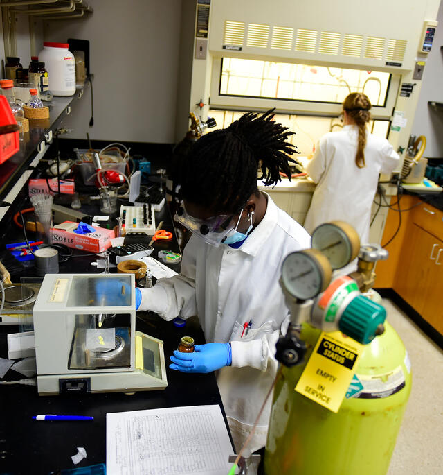 Priscilla Owusu and Zoey Nichols research drugs against COVID 19