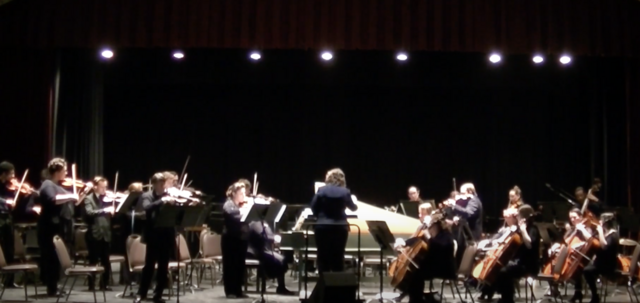 Orchestra Performance