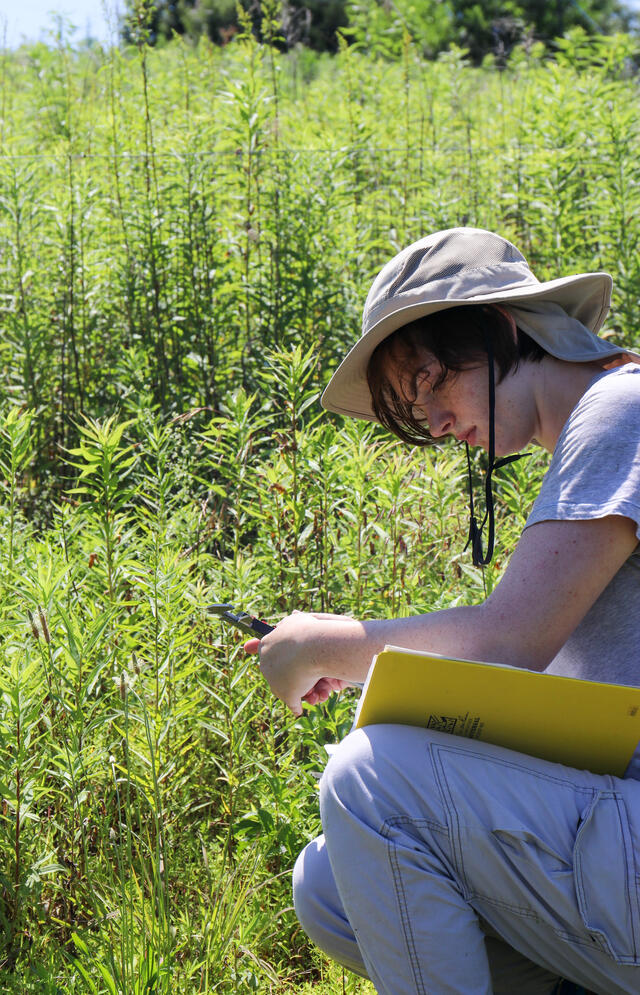 Student Faculty Research