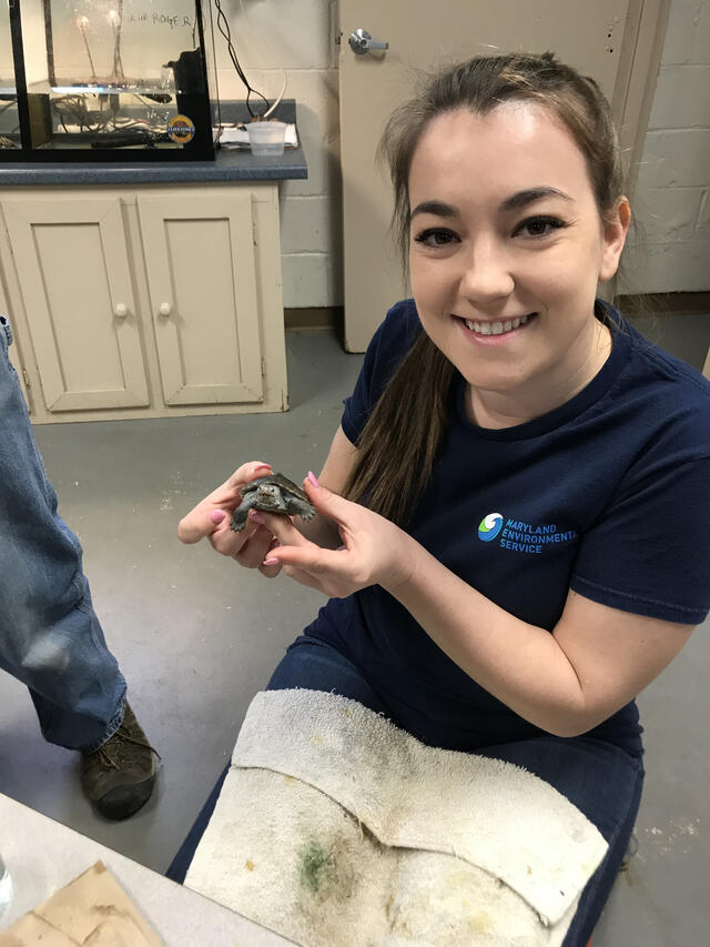 Alumna Caitlin Eversmier posing with a small turtle.