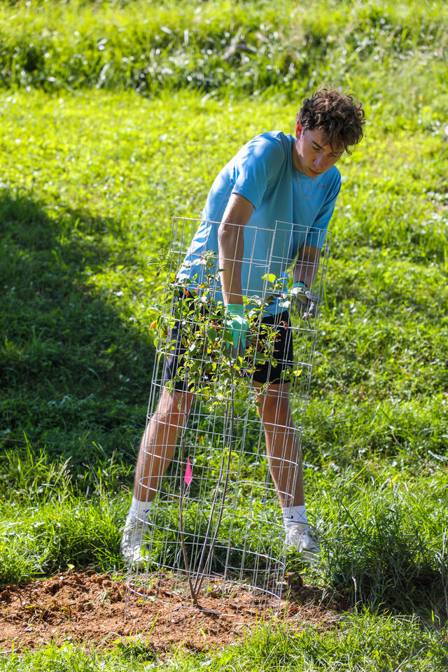 Student planting a sapling at MEC.