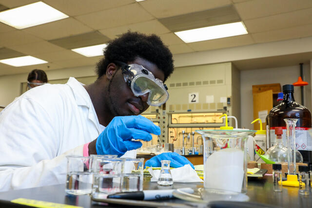 Student working on solutions in the lab.