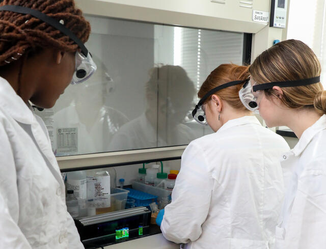 Three students look at a glowing compound. 