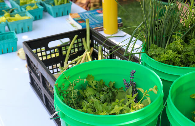 Photo of herbs and produce on a table.