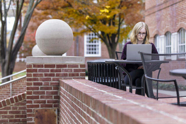 A student sits outside on the McDaniel College campus in fall, working on their laptop.