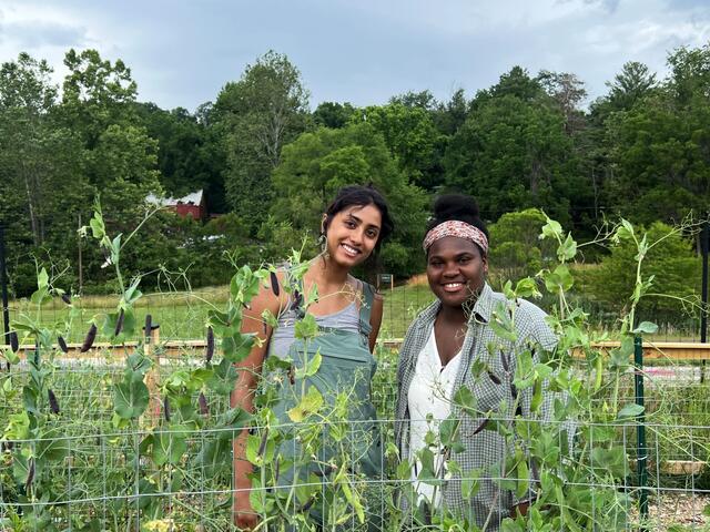 Two students stand in a garden in front of plant trellises with plants growing on them.