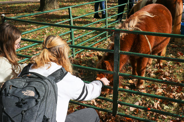 Two students pet a miniature pony outside.