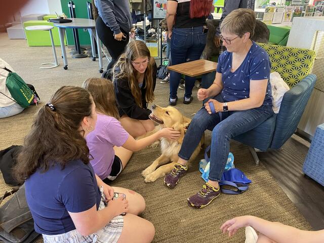 group of students sitting on the floor and chairs surround a therapy dog