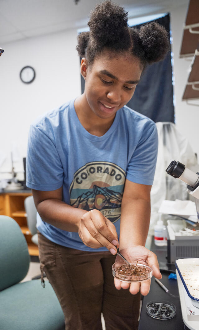 A student shows a petri dish full of preserved insects.