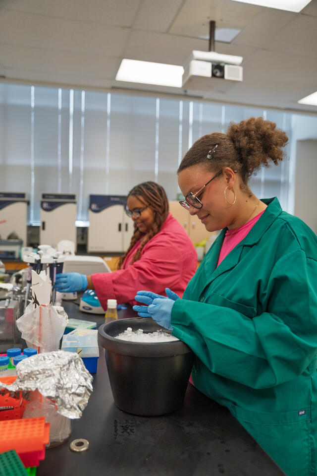 Two students in lab coats and gloves work with materials in a lab.