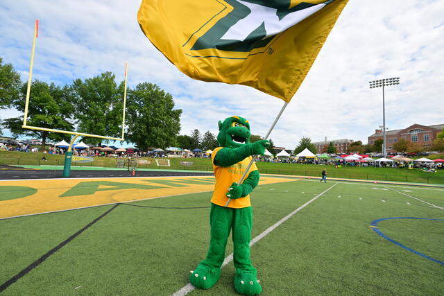 Green Terror flag