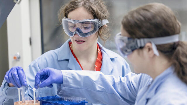 Students conducting experiment in research lab.