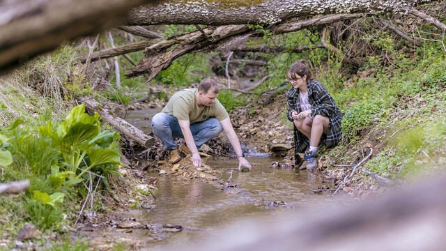 Students taking water samples at Singleton Matthews Farm.