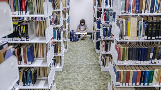 Student drawing in library