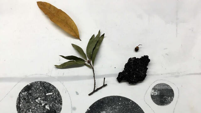 Art by Nicole Ringel: “Remnants, Remainders, Ghosts, and Continuities,” 2019, found objects and silkscreen on translucent paper, installation detail (dimensions variable)