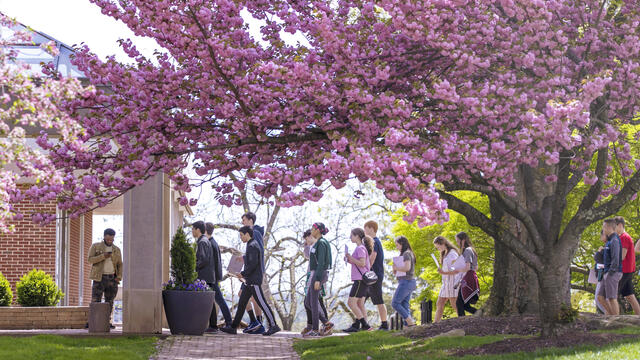 McDaniel has taken a personalized approach to admissions and strives to make the college search process as easy and stress-free as possible.