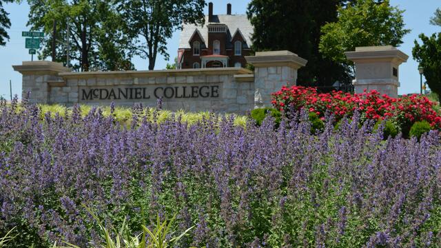 The entrance to campus from downtown Westminster, Md., includes variegated liriope, purple blooming catmint, boxwoods and knock out roses with a view of the admissions building, Carroll Hall.