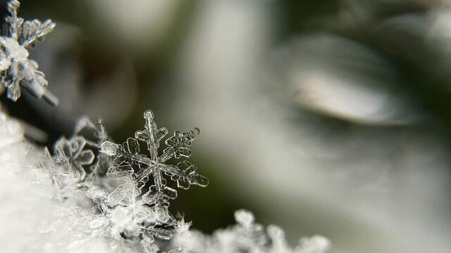 Close-up of a snowflake