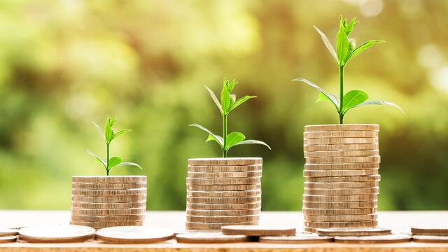 Piles of coins with plants growing out of them