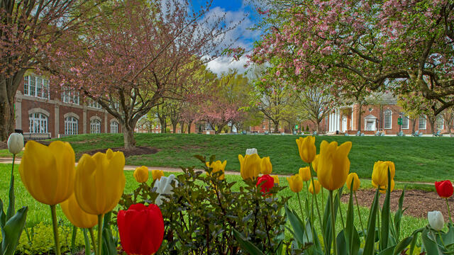 McDaniel College Campus