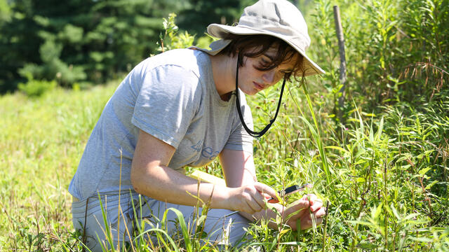 student research at the MEC