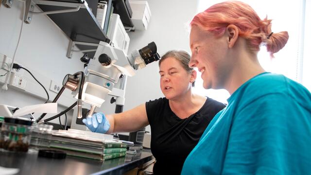 A student looks into a microscope while seated next to a professor. 