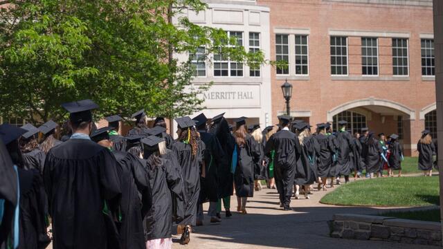 A line of graduates in regalia walk across McDaniel College's campus in front of Merritt Hall.