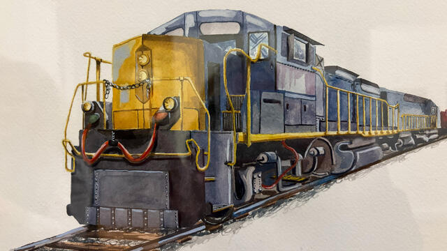 Camellia Codd Capstone