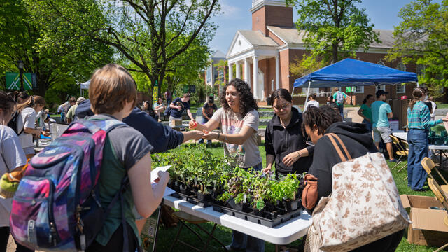 Students hand out free plants at the Earth Day Fair.