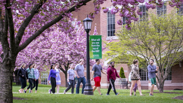 Students on McDaniel College campus