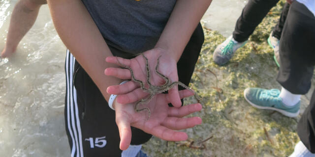 Jackie Fahrenholz in the Bahamas for student research.