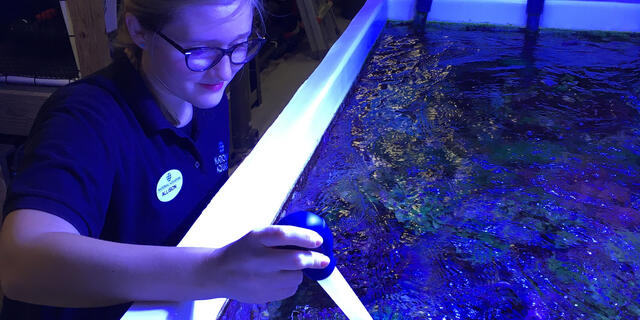 Allison Parker gathering real-world experiences and exploring careers at the famed National Aquarium. 