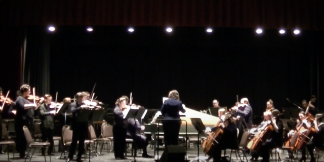 Orchestra Performance