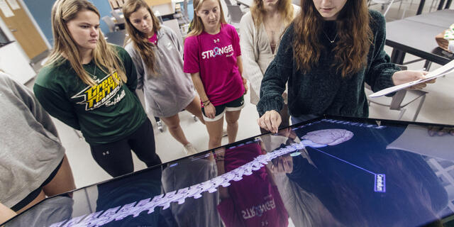 Students using a large touchscreen to view anatomy.