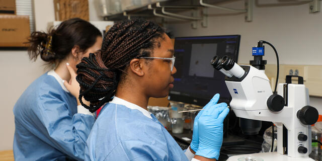 Two students use microscopes in the lab.