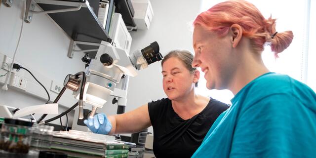 A student looks into a microscope while seated next to a professor. 